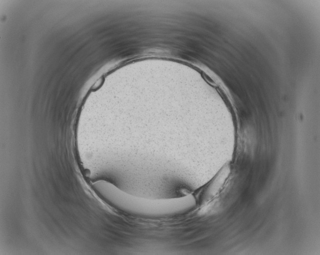 X0000082751341200702240029