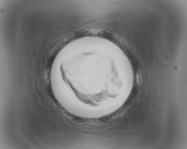 X0000082751347200702240028