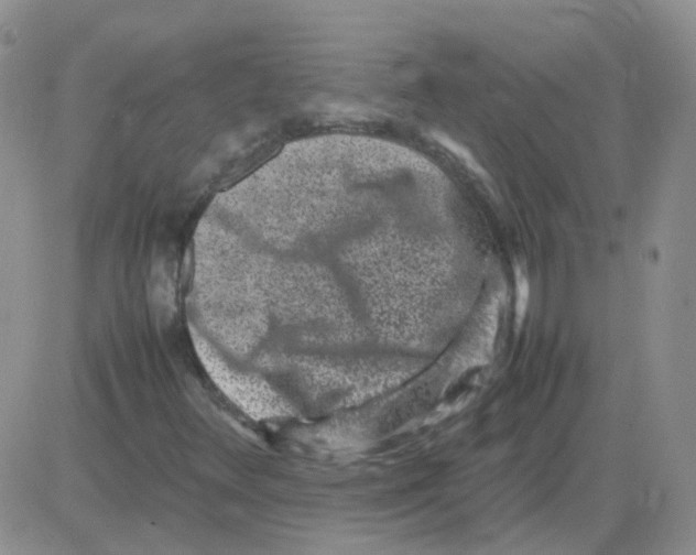 X0000082751348200702240028