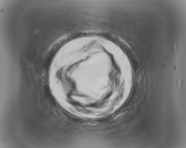 X0000082751351200702240028