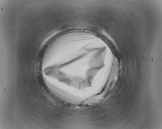 X0000082751352200702240028