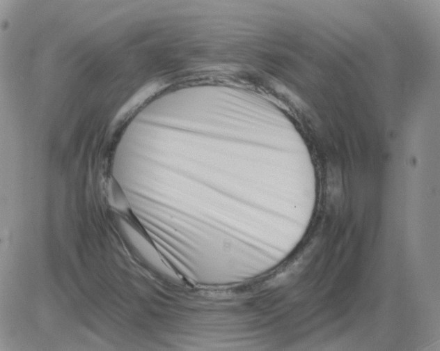 X0000082751354200702240028