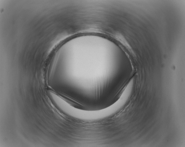 X0000082751356200702240028