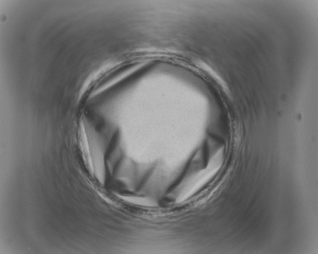 X0000082751357200702240028