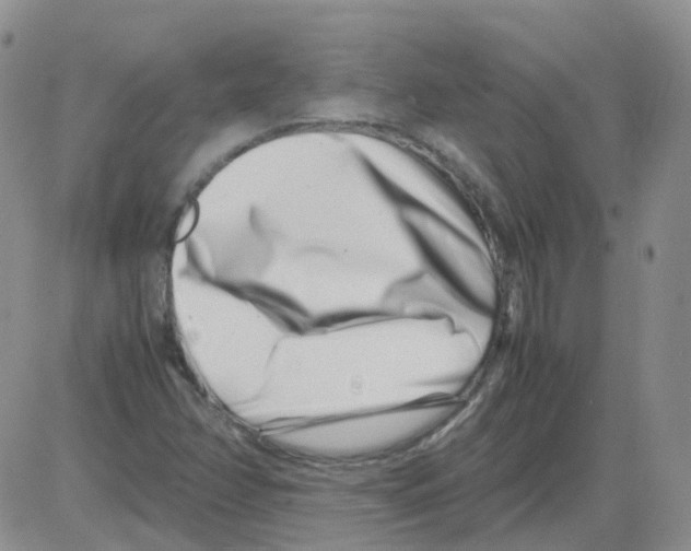X0000082751358200702240028