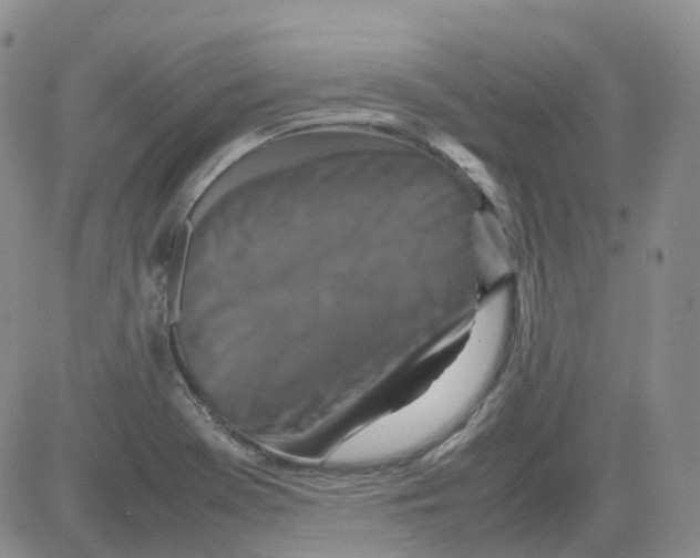 X0000082751369200702240028