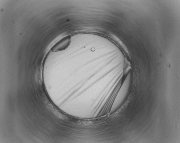 X0000082751370200702240028