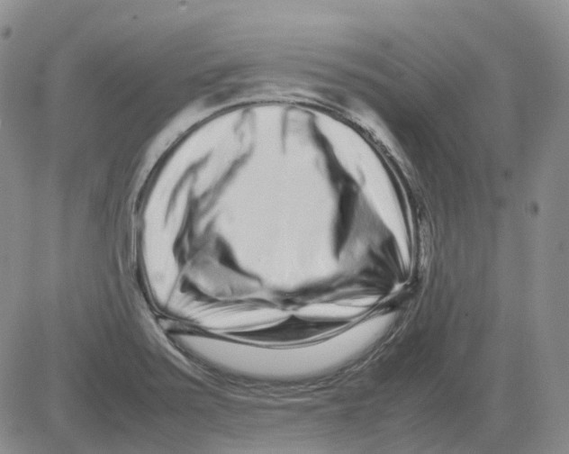 X0000082751371200702240027