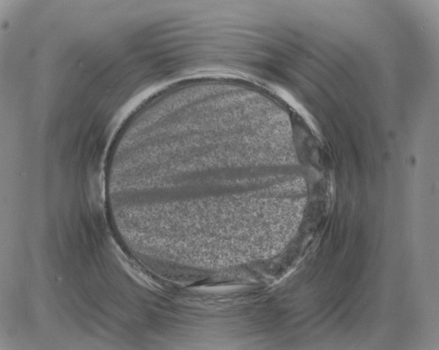 X0000082751372200702240027