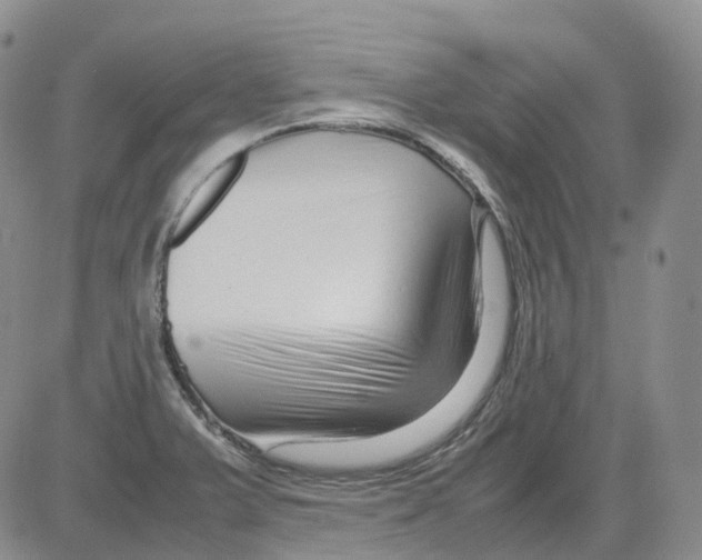 X0000082751375200702240027