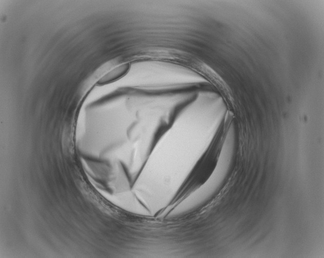 X0000082751378200702240027