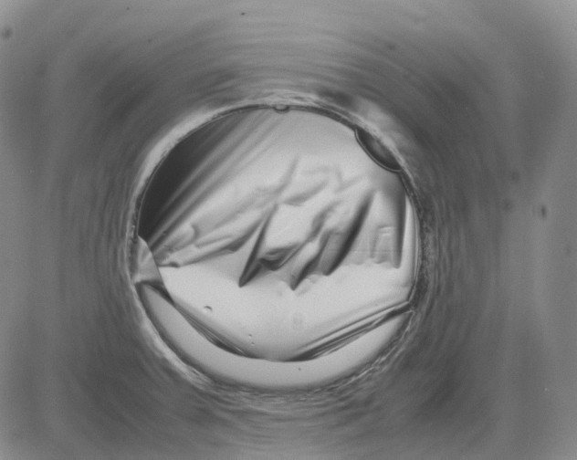 X0000082751379200702240027