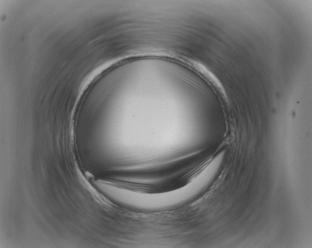 X0000082751380200702240027
