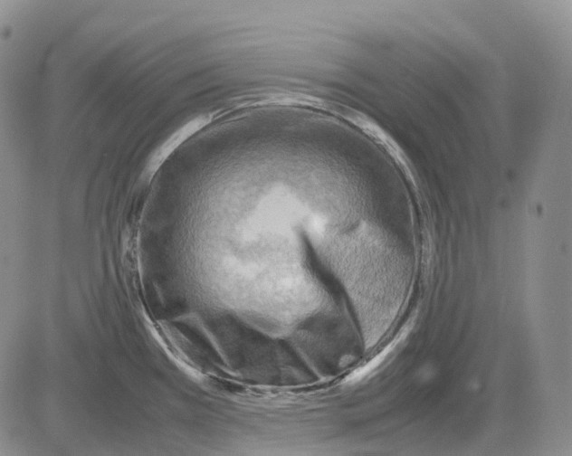 X0000082751385200702240027