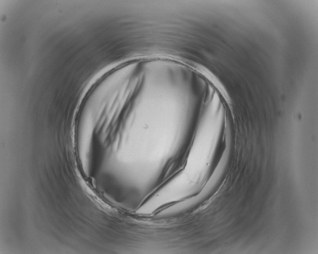 X0000082751388200702240027