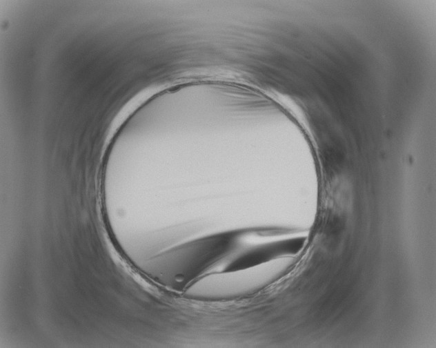 X0000082751389200702240027