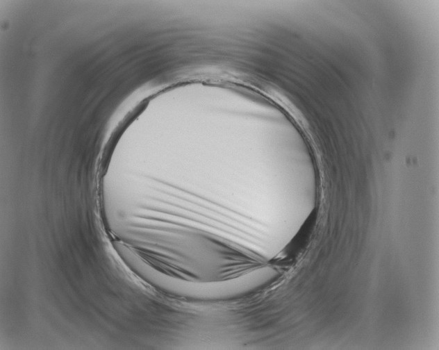 X0000082751392200702240027