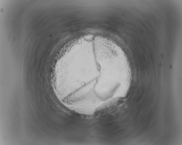 X0000082751393200702240026