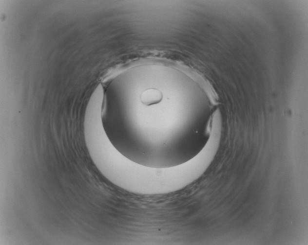 X0000082751394200702240026
