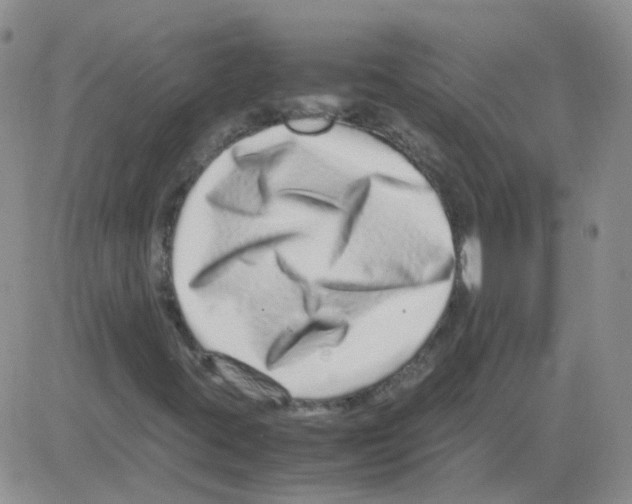 X0000082751395200702240026