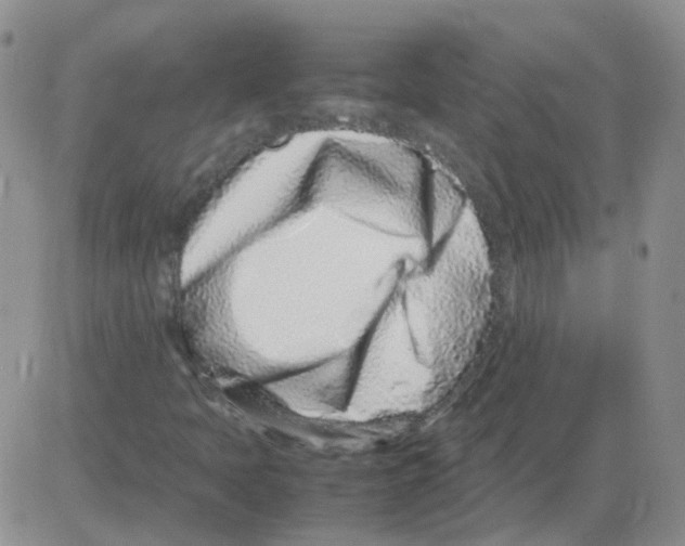 X0000082751397200702240026