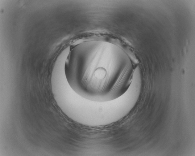 X0000082751398200702240026
