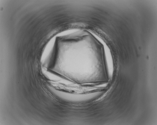 X0000082751401200702240026