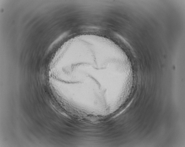 X0000082751403200702240027
