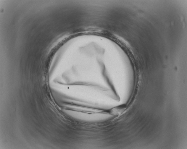 X0000082751407200702240027