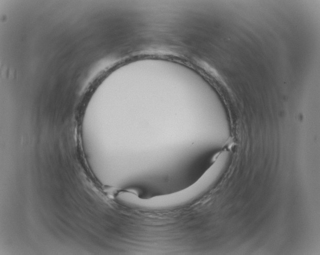 X0000082751408200702240027