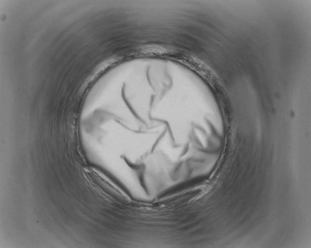 X0000082751409200702240027