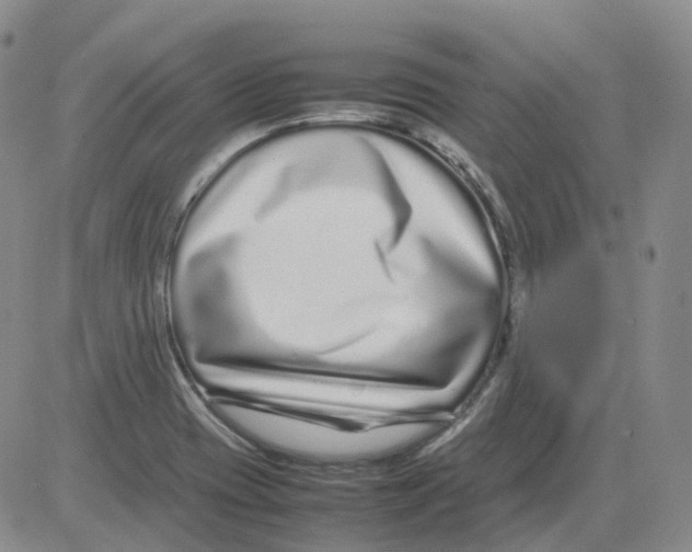 X0000082751417200702240027