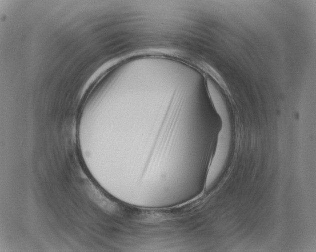 X0000082751420200702240027