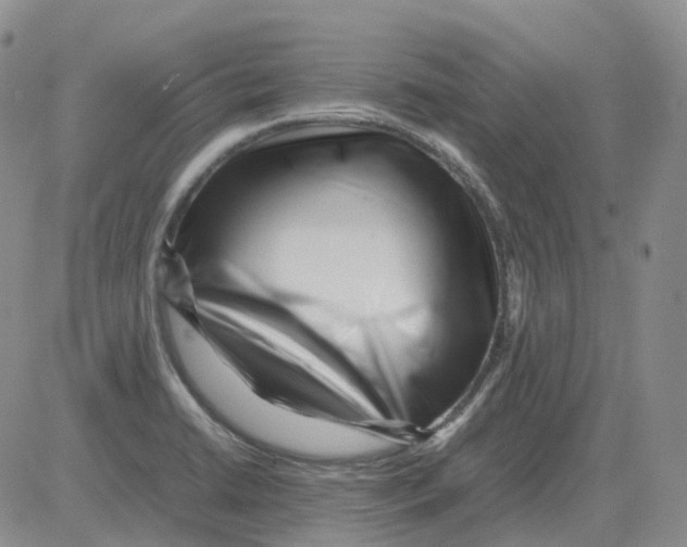 X0000082751422200702240027