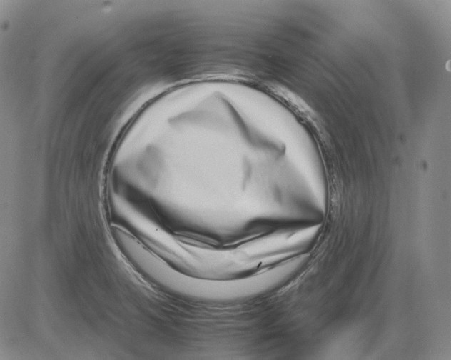 X0000082751423200702240027