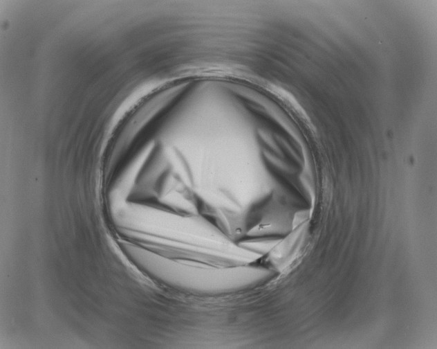 X0000082751424200702240027
