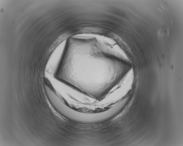 X0000082751425200702240027