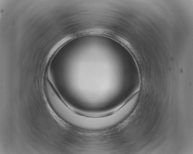 X0000082751426200702240027