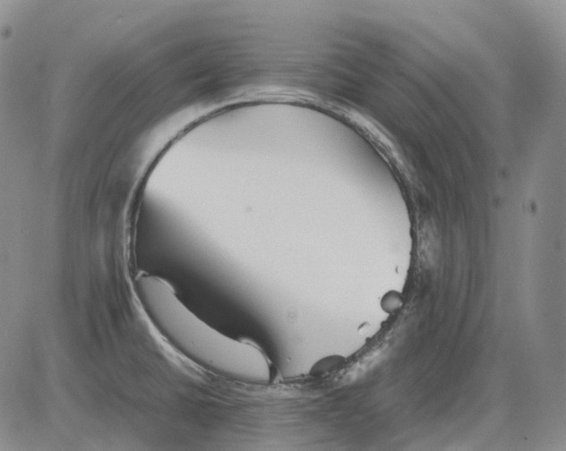 X0000082751430200702240027