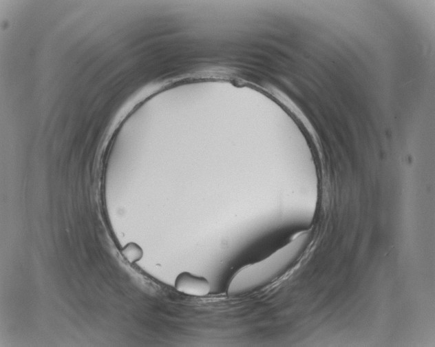 X0000082751437200702240027
