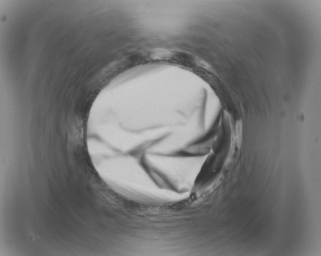 X0000082751443200702240026