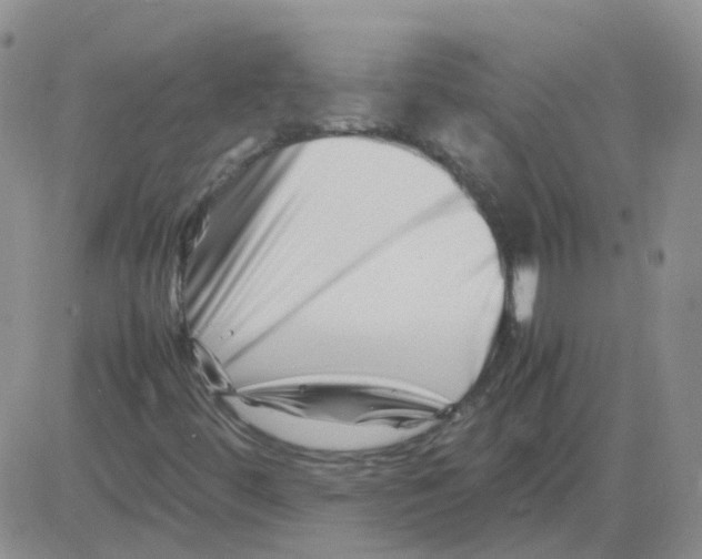 X0000082751444200702240026