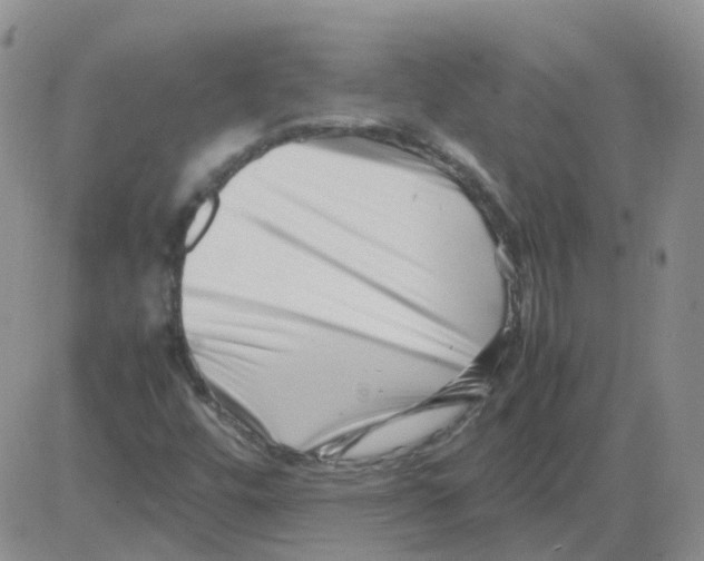 X0000082751448200702240026