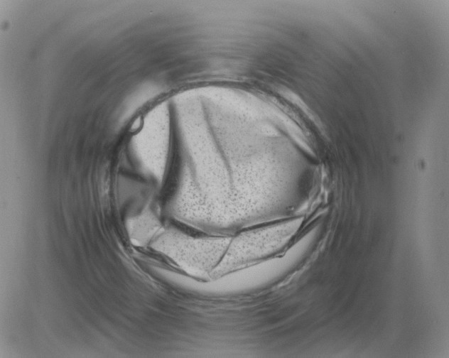 X0000082751450200702240026