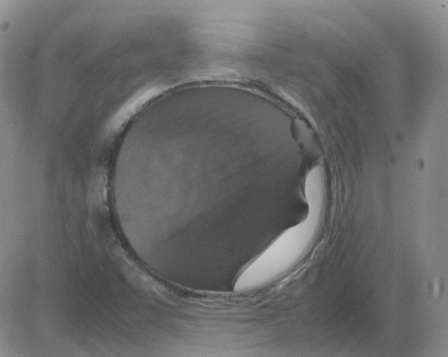 X0000082751455200702240026