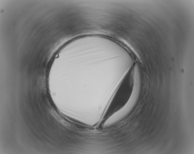 X0000082751460200702240026
