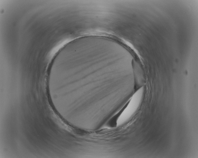 X0000082751463200702240026
