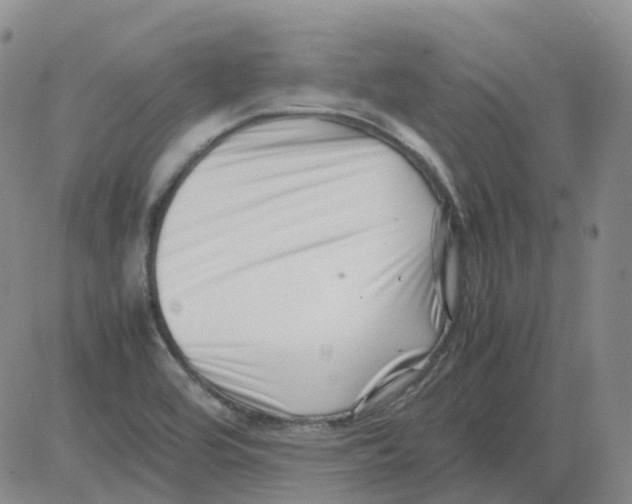 X0000082751464200702240026