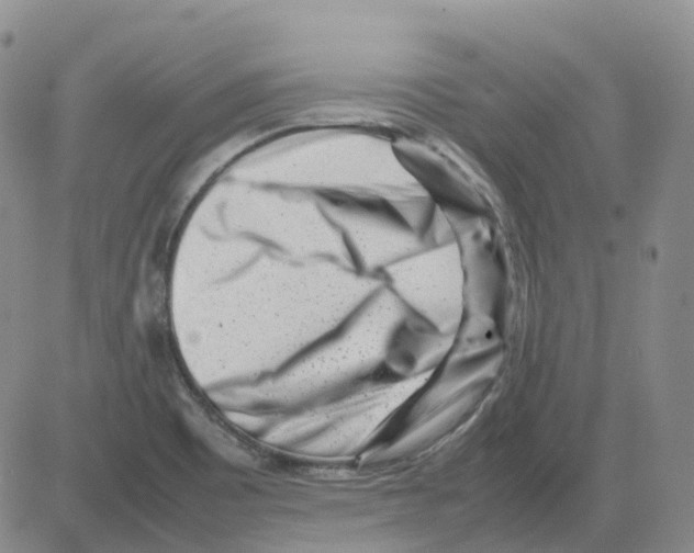 X0000082751465200702240026