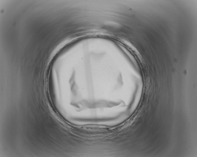 X0000082751467200702240026